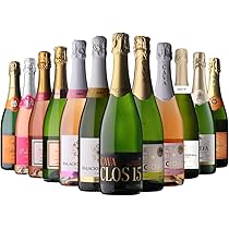 Amazon.co.jp: スパークリングワイン10本セット！七ッ星ホテル